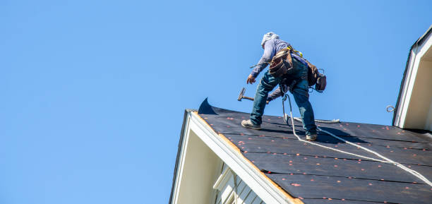 Best Storm Damage Roof Repair  in Gentry, AR